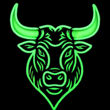 Bull Team